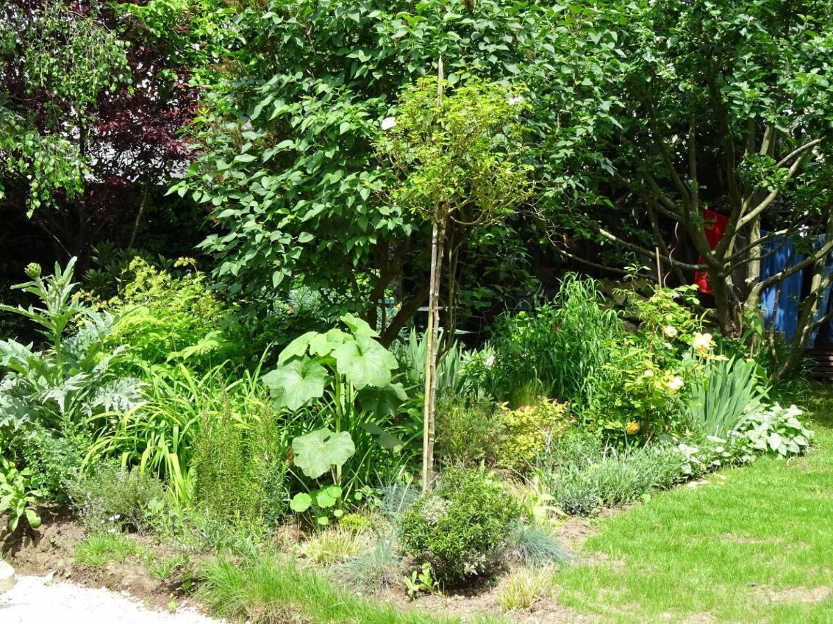 Chambre D'Hotes Sur Jardin Acces Pmr Bed & Breakfast Caen Exterior photo